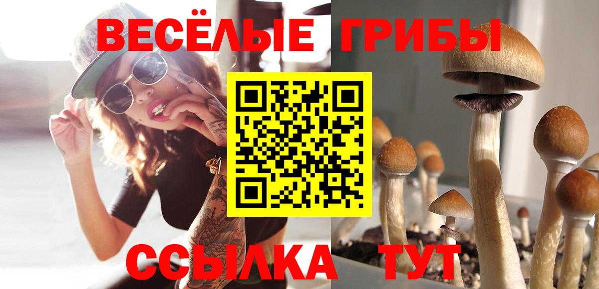 Галлюциногенные грибы прущие грибы Усолье-Сибирское